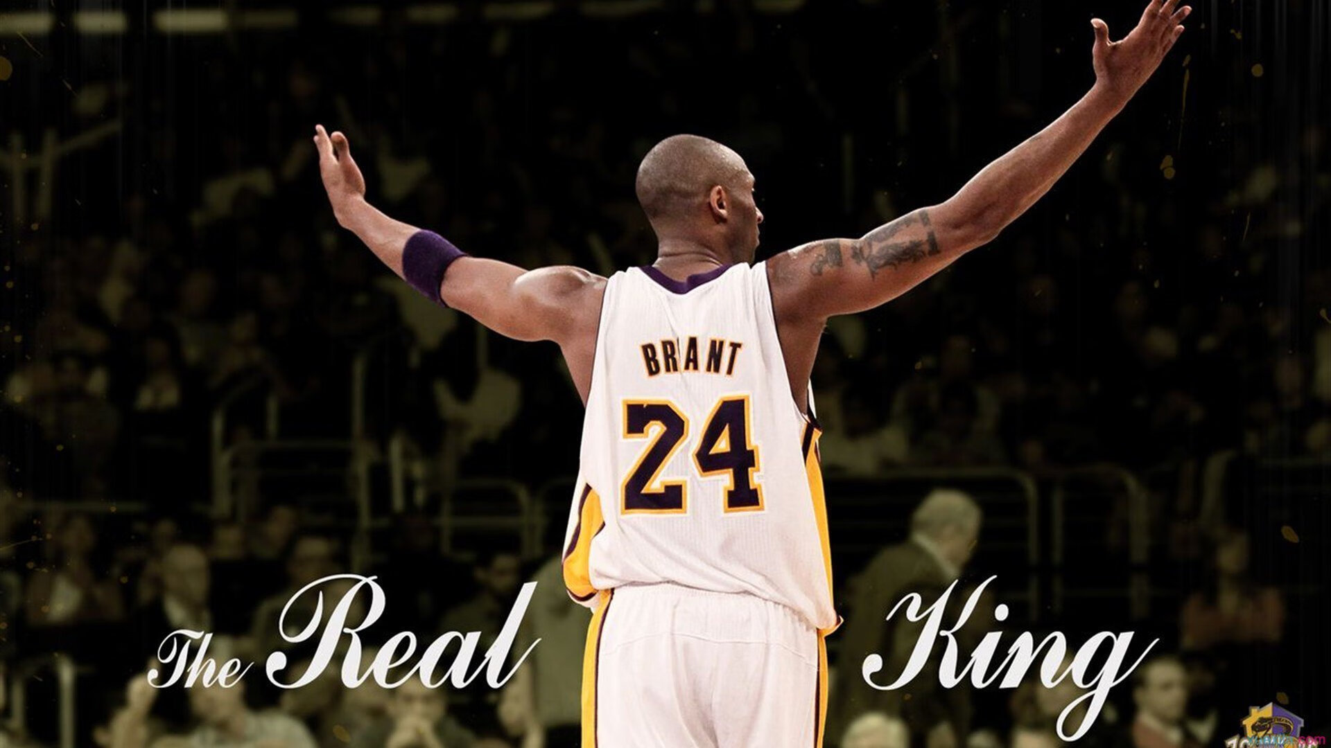 掀翻马刺，NBA爆出大冷门！布克28+13带飞全队，文班14中4失灵了，布克g2拿下31分5篮板6助攻